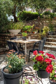Villa Green Garden