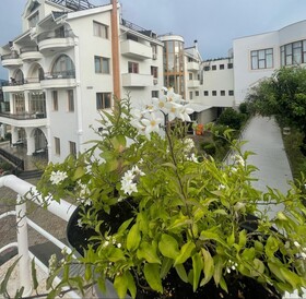 Misk Resort Hotel