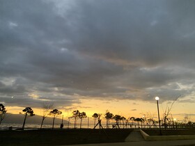 Marina Premium Hotel
