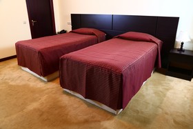 Ani Central Inn