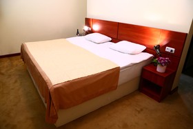 Ani Central Inn