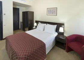 Ani Central Inn