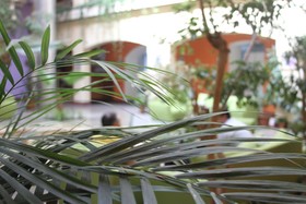 Ararat Hotel Eriwan