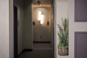 Dynasty Hotel