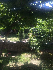 Guest House Dayan