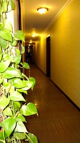 Park Avenue Hotel
