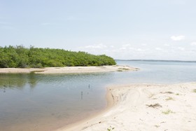 Flamingo Bay Resort