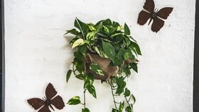 Posada Mendoza by DOT Tradition
