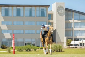 Sheraton Greenville Polo & Resort