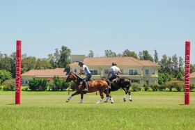Sheraton Greenville Polo & Resort