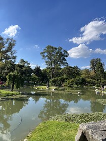 Shoshana Apart Boutique