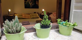 Tango Cozy Home