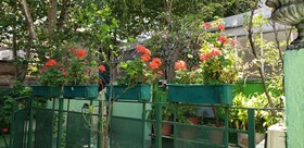 Tango Cozy Home