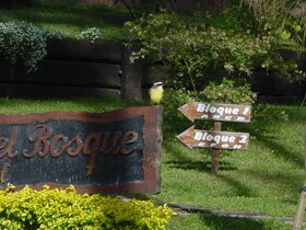 Refugio Del Bosque Carilo
