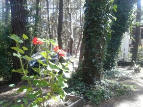 Cabanas De La Abuela