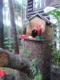 Cabanas De La Abuela