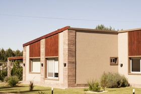 Olivos de Monte