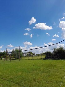 Olivos de Monte