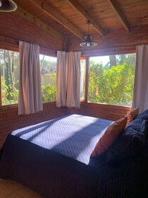 Kimbara Bosque Y Mar