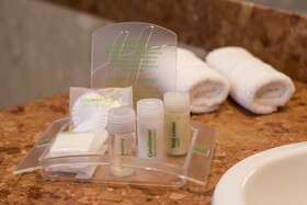Holiday Inn Cordoba