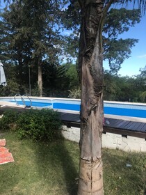 Casa De Familia Ayala