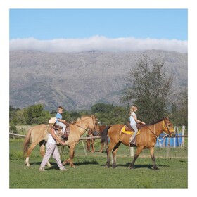 Granja El Aromo