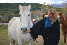 Granja El Aromo