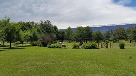 Granja El Aromo