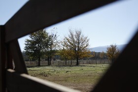 Granja El Aromo