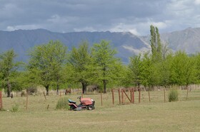 Granja El Aromo