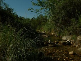 Samsara Cabanas De Montana