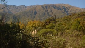 Samsara Cabanas De Montana