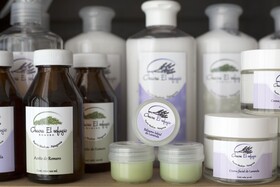 Oceano Patagonia Wild Coast Residence