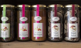 Oceano Patagonia Wild Coast Residence