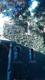 La Casa De Hostal Del Sol