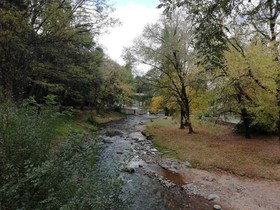 Las Zarinas