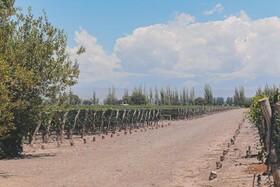 Enlace Casa de Huespedes