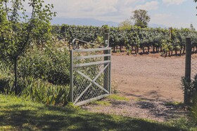 Enlace Casa de Huespedes