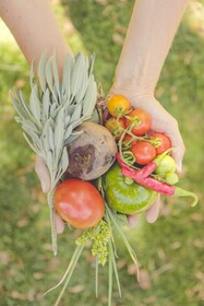 Enlace Casa de Huespedes