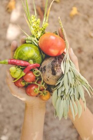 Enlace Casa de Huespedes