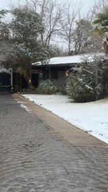 Bobi’s House