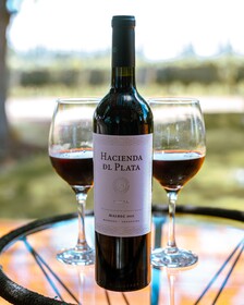 Lodwine Lodges