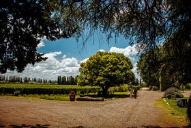 Lodwine Lodges