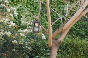 Casa Lila Bed & Breakfast