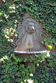 Casa Lila Bed & Breakfast