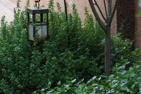 Casa Lila Bed & Breakfast