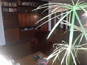 Mi Casa