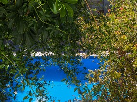 Paradise Apartments