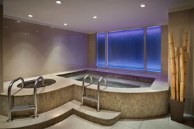 Park Hyatt Mendoza, Hotel Casino & Spa