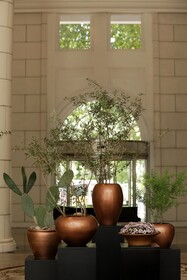 Park Hyatt Mendoza, Hotel Casino & Spa